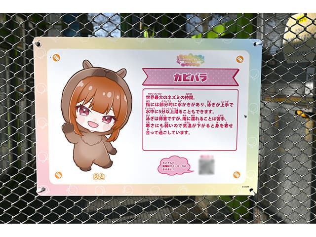 レポート】東武動物公園 「カラフルピーチ」コラボイベント 開催中