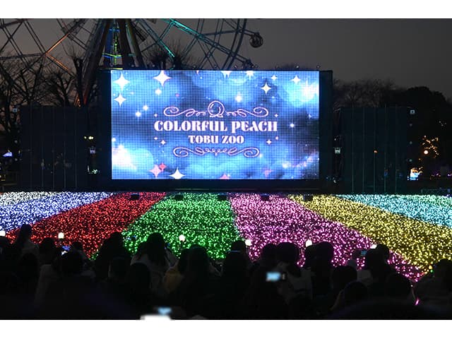 レポート】東武動物公園 「カラフルピーチ」コラボイベント 開催中