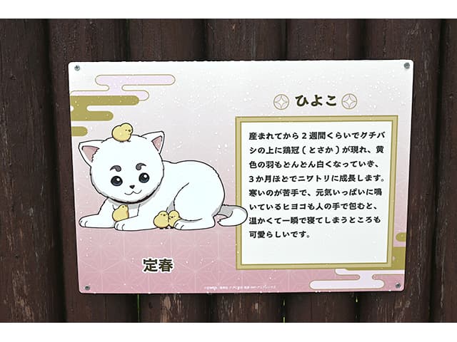 レポート】TVアニメ『銀魂』×東武動物公園 コラボイベント開催中