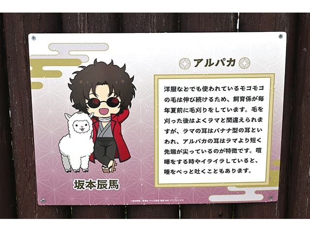 レポート】TVアニメ『銀魂』×東武動物公園 コラボイベント開催中
