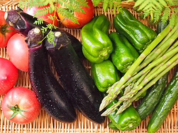 8月31日は「野菜の日」新鮮野菜がたっぷり堪能できる野菜レストランスポットをご紹介します。