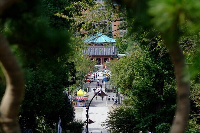 5 Things to Do in Ueno Park