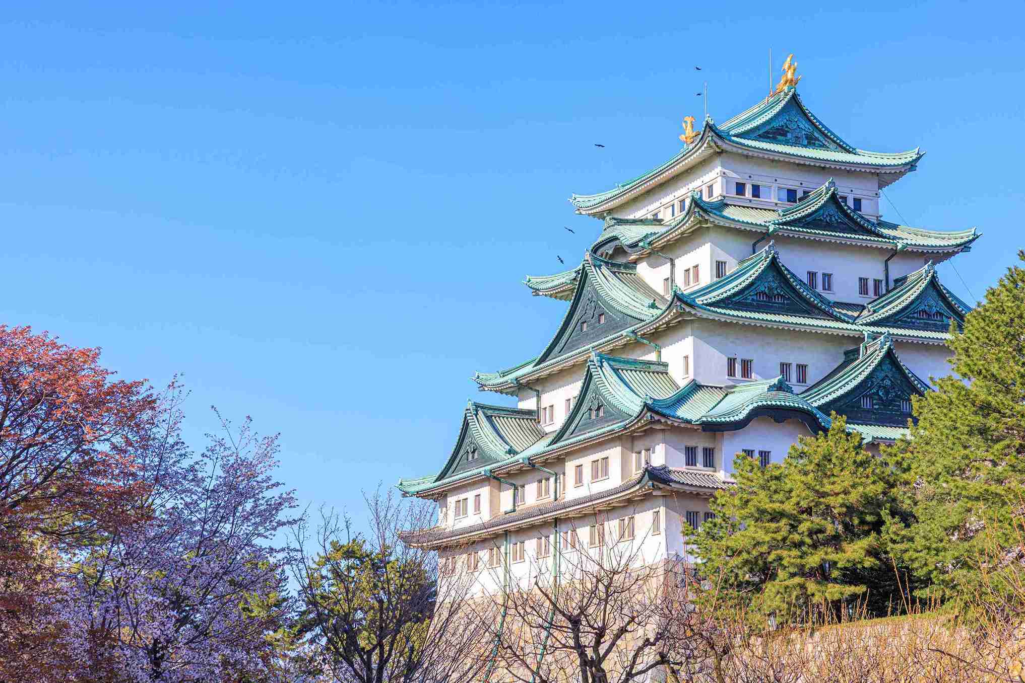 Japanese christmas porn