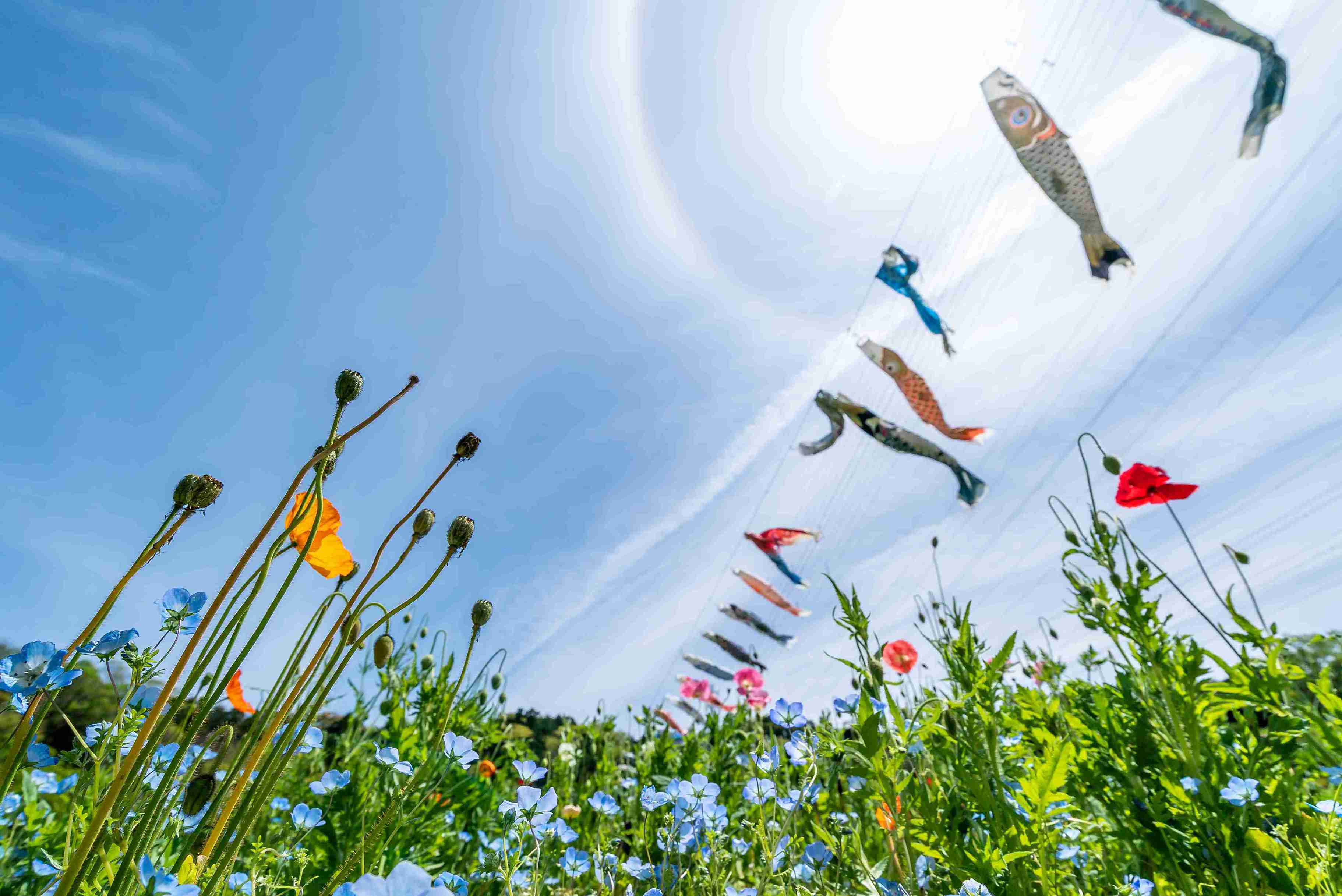 2026 日本のゴールデンウィークとは? 日本への旅行前に知っておきたいこと