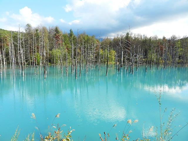 水面が青く見える不思議な池「白金青い池」