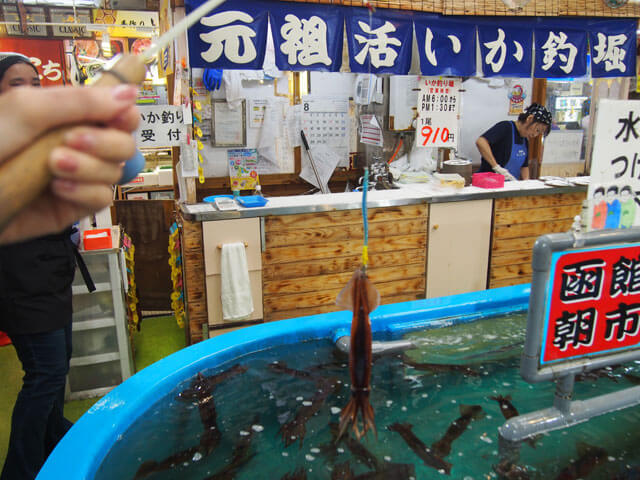イカの反撃にご注意！函館の朝はイカ釣り体験でエキサイト！