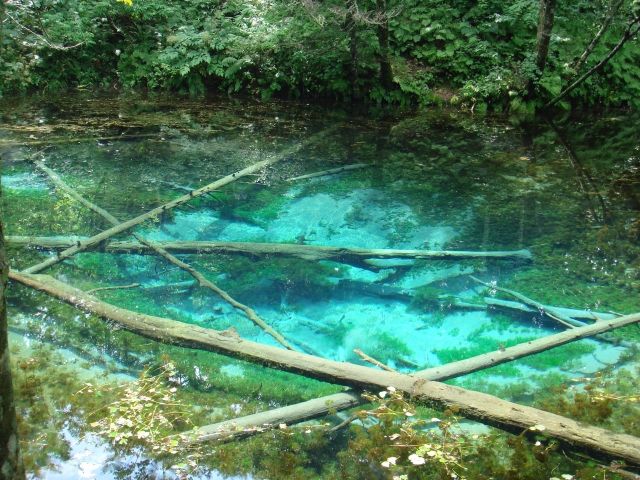 透き通る神秘の青！自然のままの絶景スポット「神の子池」