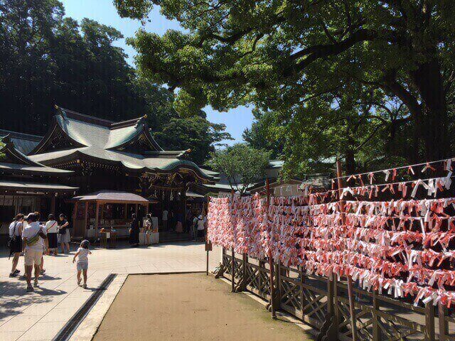 安い 江ノ島 ベスト シーズン