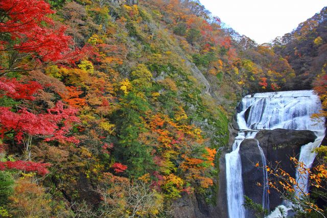 日本三名瀑、茨城県・大子町の「袋田の滝」には魅力がいっぱい詰まってます！