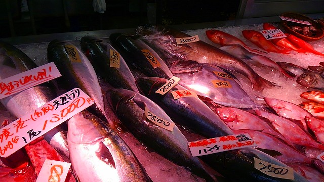 魚がうんめこってぇ！新潟・柏崎市の「日本海フィッシャーマンズケープ」に行ってみよう！