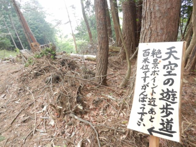 絶景までがんばります！