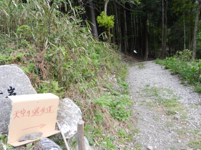 ダンボールに書かれた看板に味があります