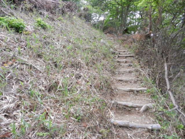 スニーカーでも登れますよ。