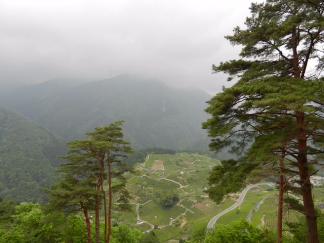 足を止め、耳を澄まし、全身で絶景を味わいます