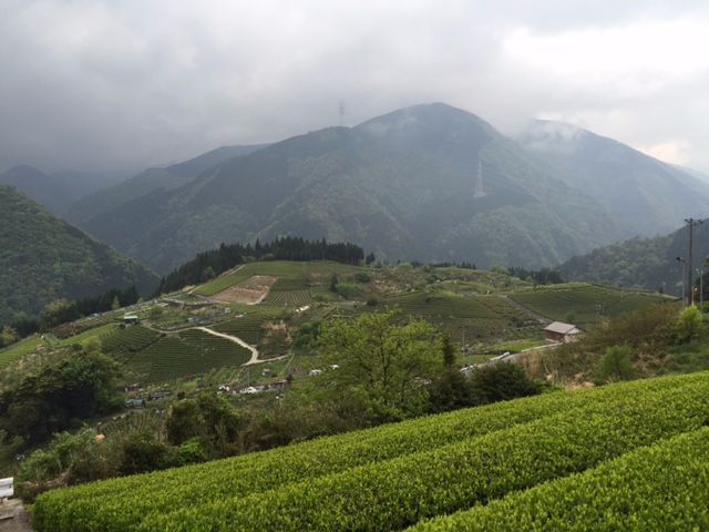 たくさんの人に、この絶景を見て欲しい！