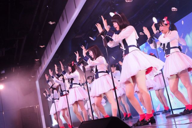 LEDパネルに桜が舞っているのが見えますね。
