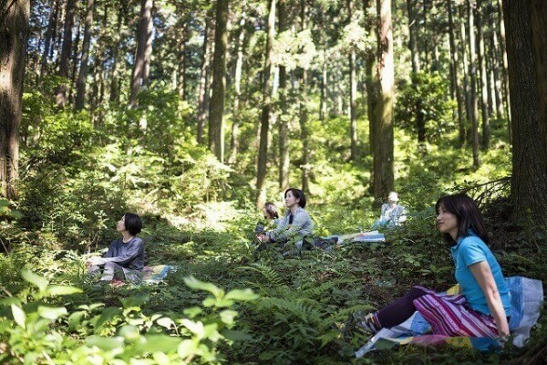 ファスティング旅館 若杉屋　「森林セラピー」