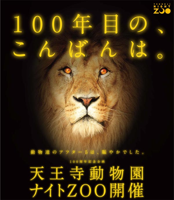 ライオンも猫を被るのは昼間だけ！？（ネコ科だけに）100周年記念の天王寺動物園ナイトZOO開催！