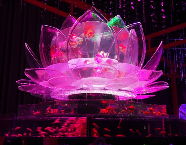 今年も日本橋で金魚が舞う。会社帰りの夜デートにも！5年目の「アートアクアリウム 2015 ～江戸・金魚の涼＆ナイトアクアリウム～」