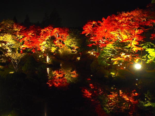 世界遺産・日光山輪王寺で紅葉の名所「逍遥園ライトアップ」が10月25日（日）にスタート！