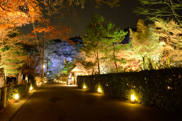夜の京都へお出かけ。「京都・花灯路」のライトアップで花開く和を感じよう