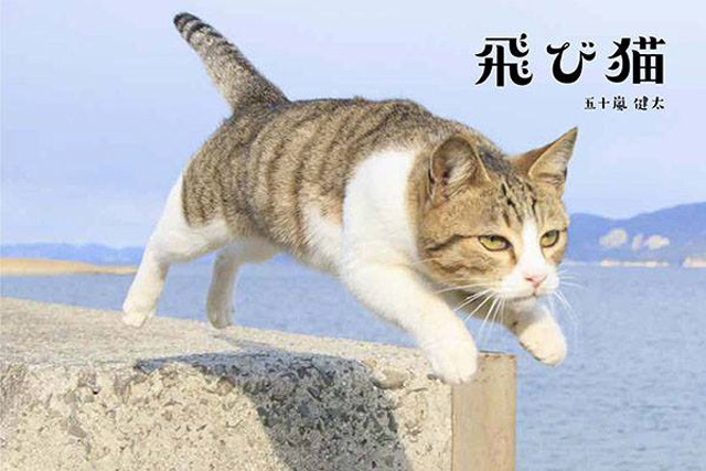 猫に癒される～だけじゃにゃい！猫イベント「ねこ専」 7月16・17日に浅草で開催