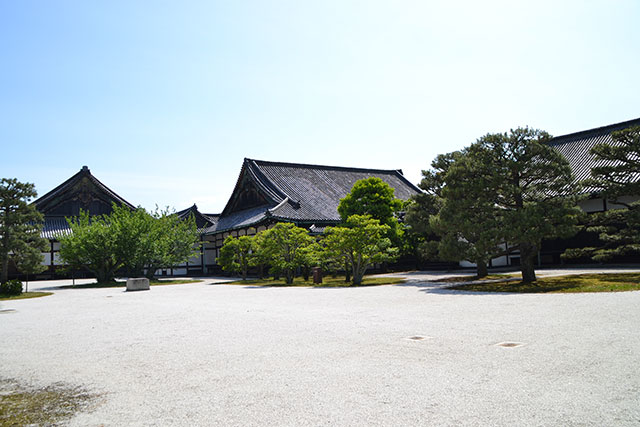 年始は京都の世界遺産・二条城 へ！　二条城庭園年末年始特別公開。1/7からは二の丸御殿大広間障子開放と中庭特別公開も。