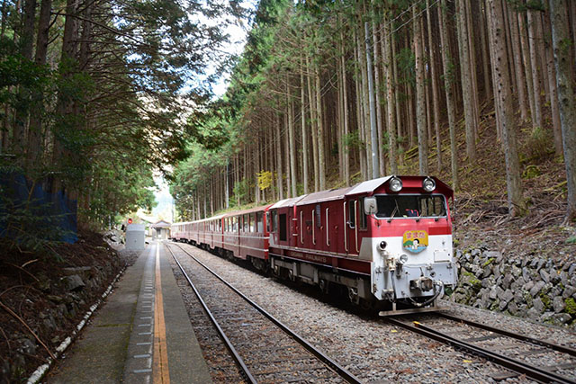 大井川上流の秘境を行くミニ列車の旅