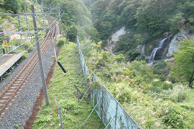 面白山高原駅から見える藤花の滝