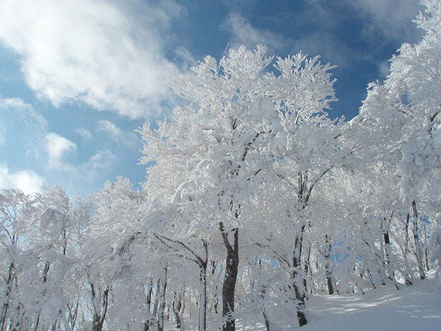 【アウトドア】雪と氷の絶景を楽しむ冬のアウトドアスポット