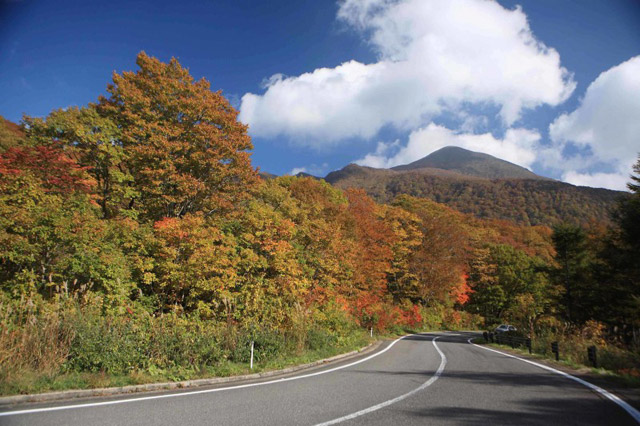 can a tourist drive in japan