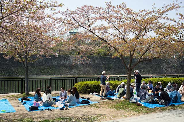 How to Plan a Picnic in Japan