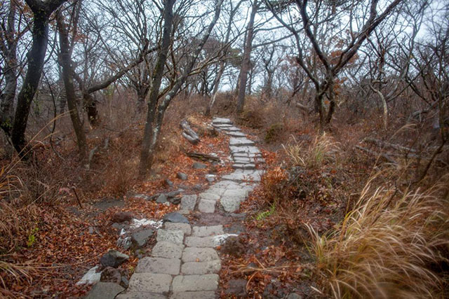 중급자용 등산 코스: 기리시마 긴코만 국립공원