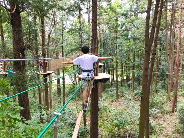 FORESTフォレスト FOREST(フォレスト)_Fish Hook