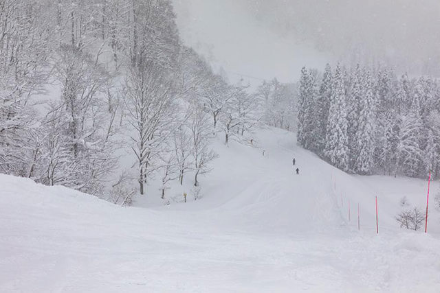妙高、赤倉溫泉滑雪場