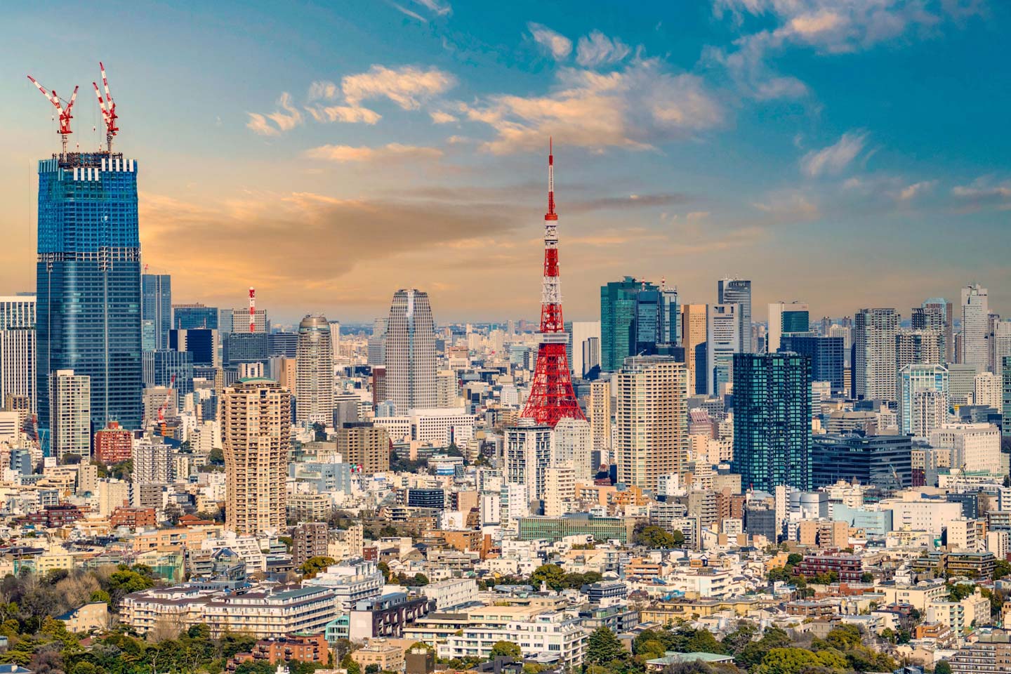 【東京】利用JR東日本「都區内PASS」來趟划算的東京之旅吧！使用例也一次介紹