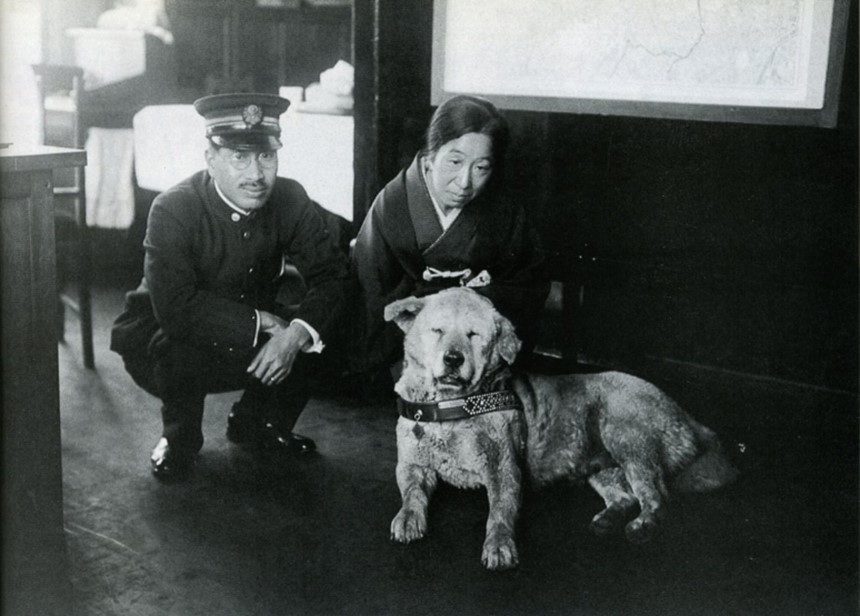 Hachiko, affectionately known as “Hachi” by those that knew him, rests with a woman and Shibuya’s Station Master.
Unknown author, Public domain, via Wikimedia Commons