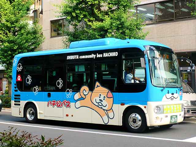 A local bus in Shibuya featuring both Hachiko’s name and his likeness.
Stéfan, CC BY-SA 2.0, via Wikimedia Commons