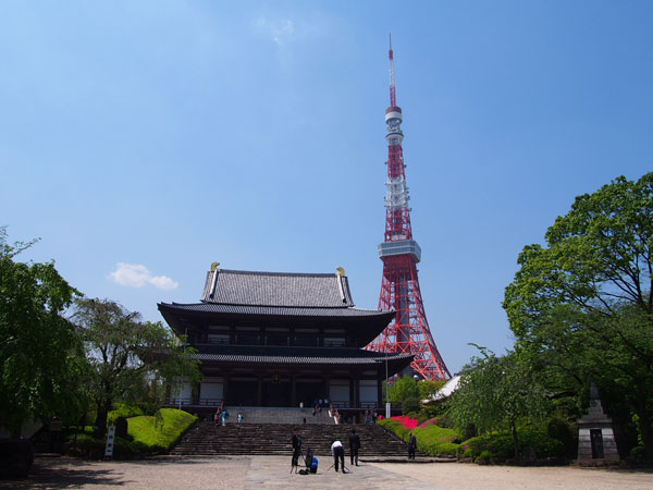 はじめての東京観光におすすめ！簡単に行けて大満足　増上寺と東京タワー