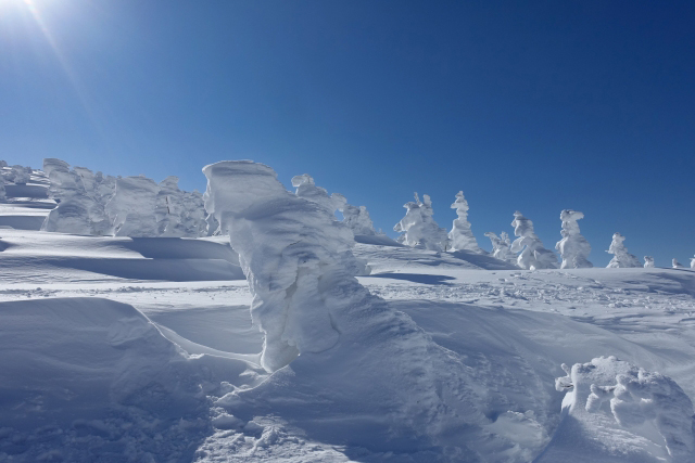 As Árvores de Gelo de Zao｜Guia Completo dos Monstros de Neve