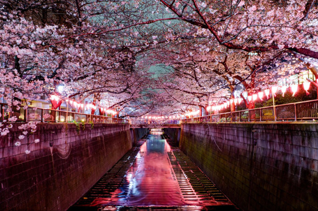 MRJのFirst Flight記念ワッペン 愛知県地図桜バック日本語Ver baron1533_japansakura