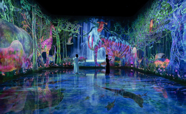 Guía práctica: Comparación, reserva y acceso a TeamLab en Tokio