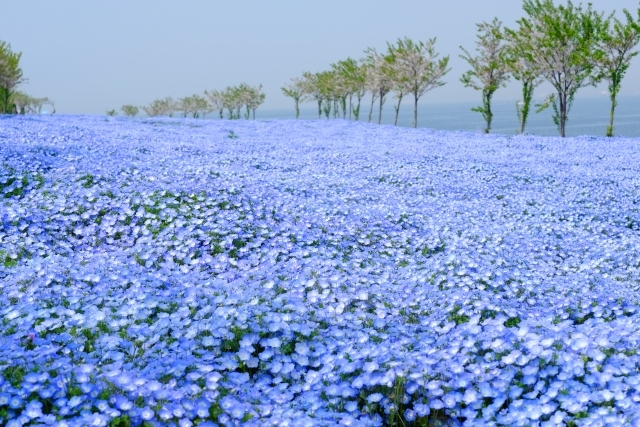 【2026年GW】大阪のおすすめ観光イベントガイド：食フェスから絶景スポットまで徹底解説