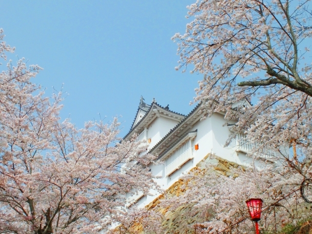 2026 Spring Okayama Sightseeing Guide: Famous Cherry Blossom Spots and Smart Tips to Avoid Crowds