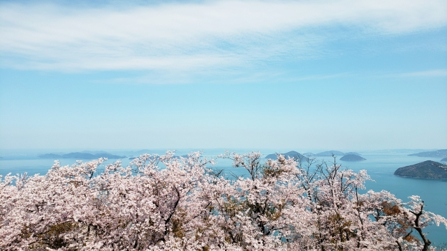 10 Rekomendasi Event dan Tempat Wisata Musim Semi di Kagawa Tahun 2026