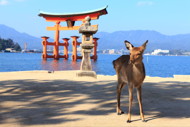 Rundreise-Guide: Mit dem Shinkansen von Osaka nach Hiroshima &ndash; Die besten P&auml;sse, Sehensw&uuml;rdigkeiten und kulinarische Highlights im &Uuml;berblick