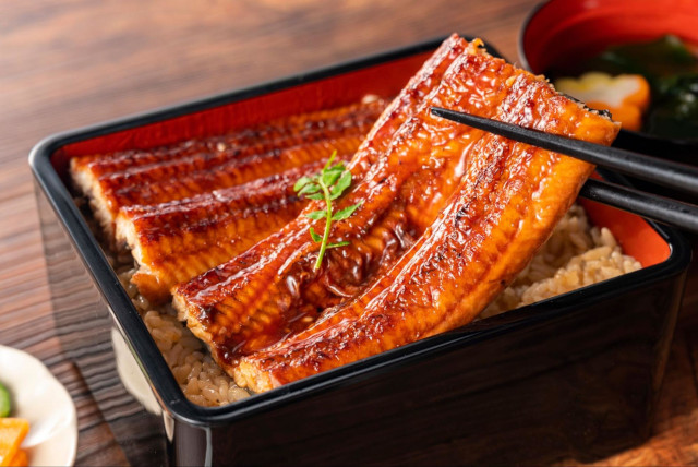 여름 일본 여행에서 꼭 맛봐야 할 '장어' 완벽 가이드|도요노우시노히의 전통과 명가 소개 | Japan Travel by ...
