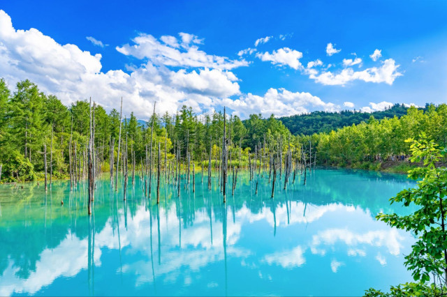 Escape the Summer Heat in Japan: Recommended Guides to Karuizawa, Kamikochi, Nikko, and Hokkaido