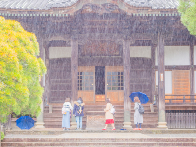 Enjoying Rainy Days: Resilience Against the Rain