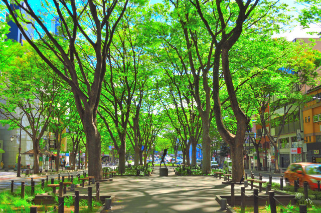 Sendai Guide: Explore the History of Date Masamune and Enjoy Beef Tongue Cuisine in the Heart of Tohoku